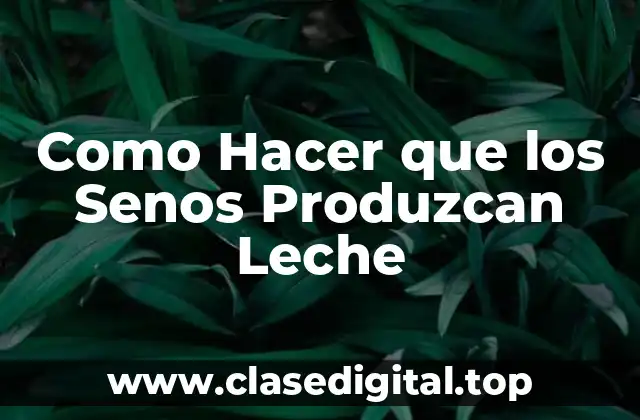 Como Hacer que los Senos Produzcan Leche