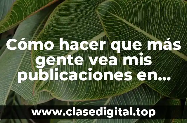 Cómo hacer que más gente vea mis publicaciones en Instagram