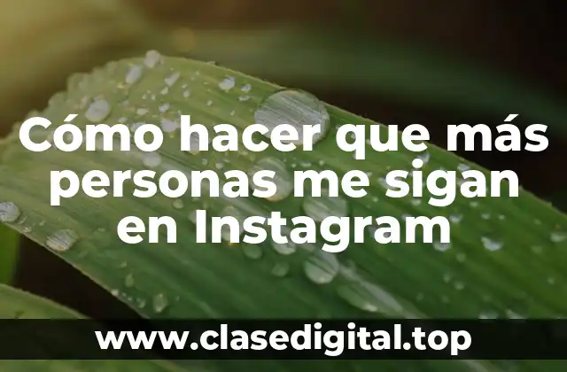 Cómo hacer que más personas me sigan en Instagram