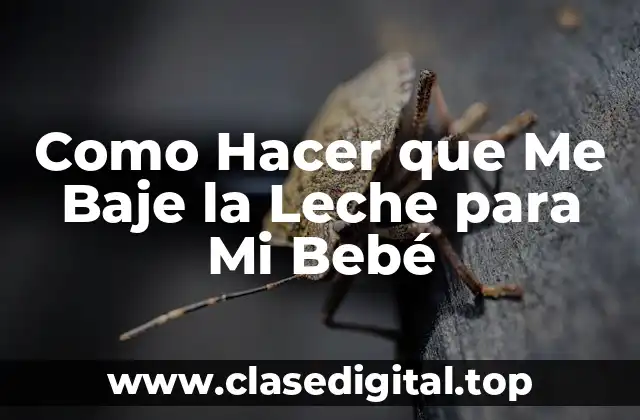 ¿Qué es la Producción de Leche Materna y Cómo Funciona?
