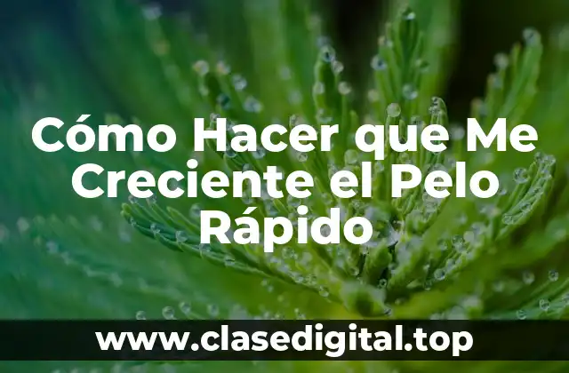 Cómo Hacer que Me Creciente el Pelo Rápido