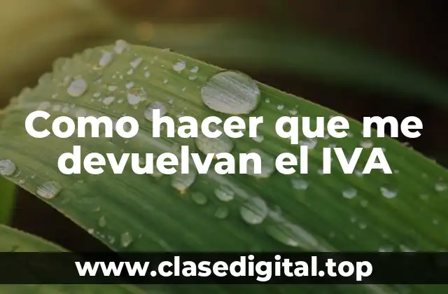 Como hacer que me devuelvan el IVA