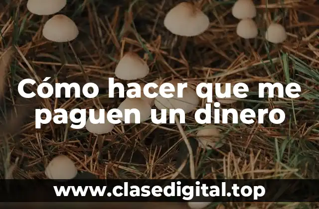 Cómo hacer que me paguen un dinero