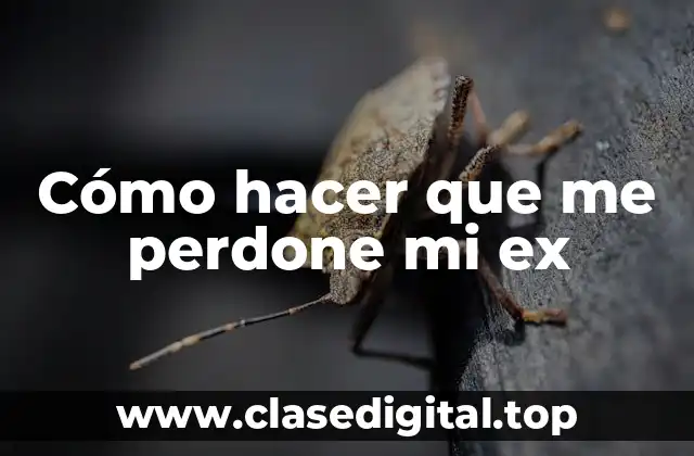 Cómo hacer que me perdone mi ex