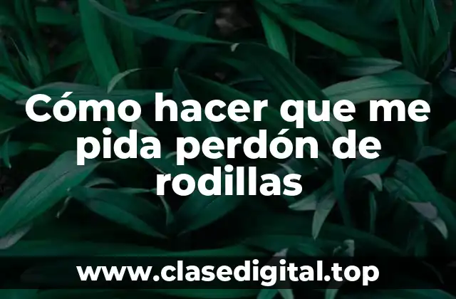 Cómo hacer que me pida perdón de rodillas