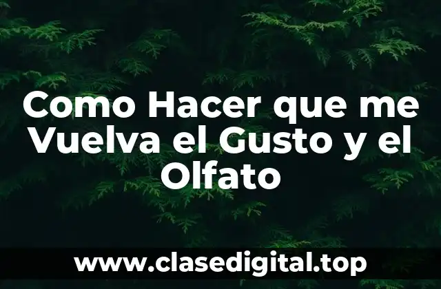 Como Hacer que me Vuelva el Gusto y el Olfato