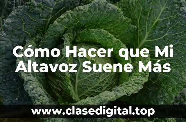 Cómo Hacer que Mi Altavoz Suene Más