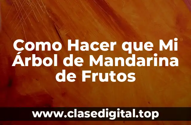 ¿Qué Es un Árbol de Mandarina y Para Qué Sirve?