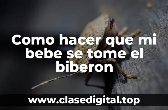 Como hacer que mi bebe se tome el biberon