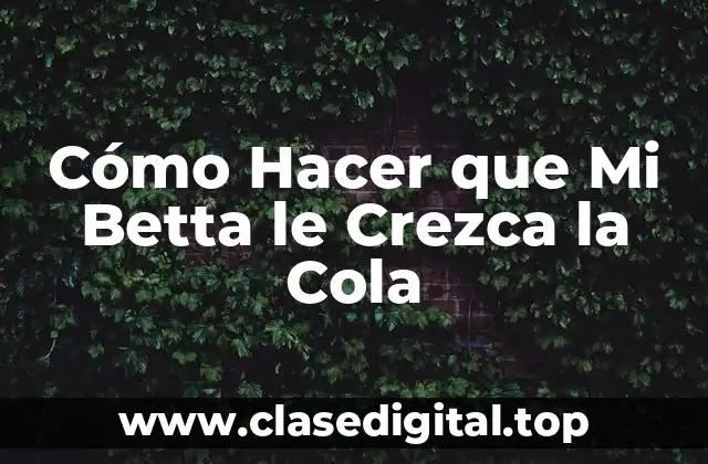Cómo Hacer que Mi Betta le Crezca la Cola