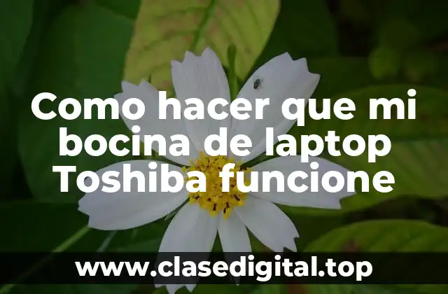 Como hacer que mi bocina de laptop Toshiba funcione