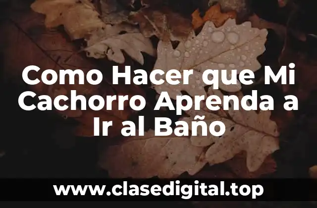 Como Hacer que Mi Cachorro Aprenda a Ir al Baño