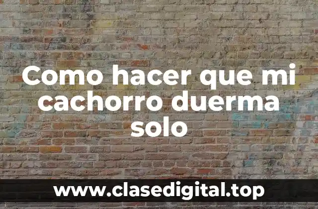 Como hacer que mi cachorro duerma solo