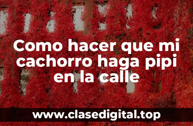 Entrenamiento para hacer pipi en la calle