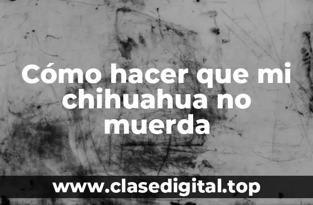 Cómo hacer que mi chihuahua no muerda