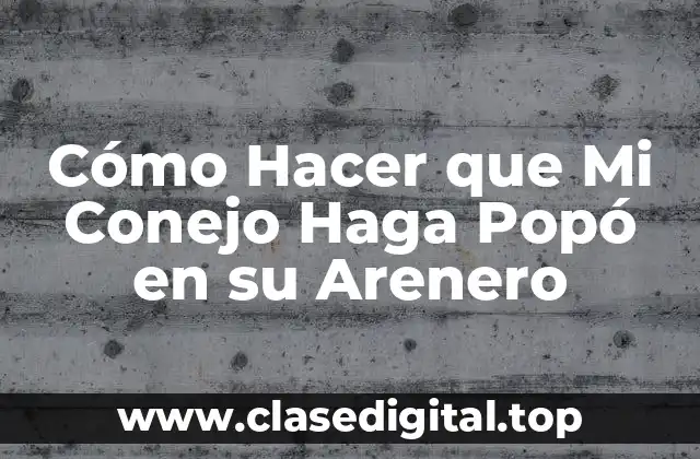 Cómo Hacer que Mi Conejo Haga Popó en su Arenero
