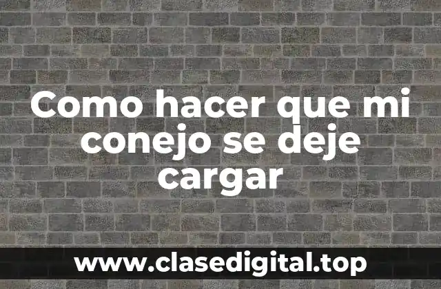 Como hacer que mi conejo se deje cargar