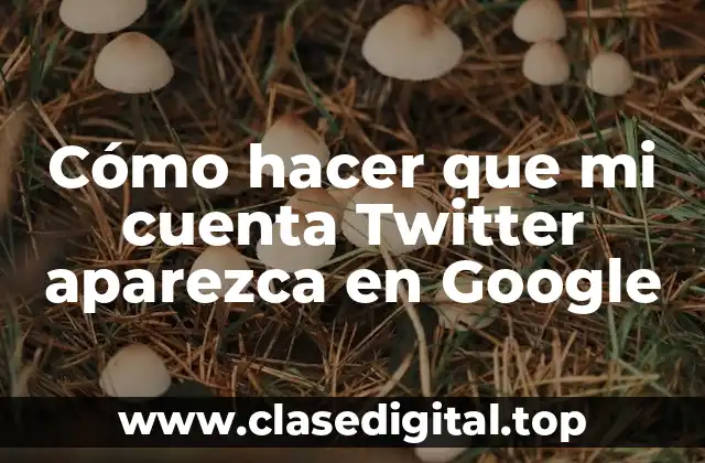 Cómo hacer que mi cuenta Twitter aparezca en Google