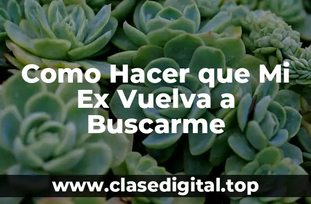 Recuperar a Tu Ex - Qué Es y Cómo Funciona