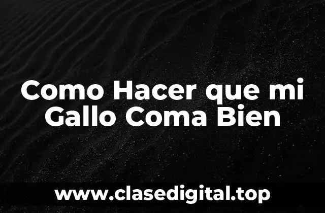 Como Hacer que mi Gallo Coma Bien