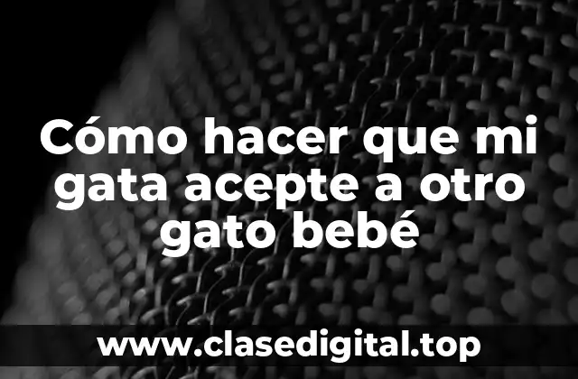 Cómo hacer que mi gata acepte a otro gato bebé