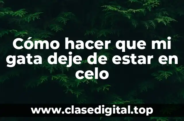 Cómo hacer que mi gata deje de estar en celo