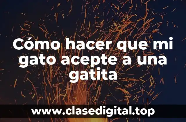 Cómo hacer que mi gato acepte a una gatita