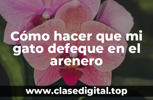 Cómo hacer que mi gato defeque en el arenero