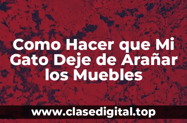 Como Hacer que Mi Gato Deje de Arañar los Muebles