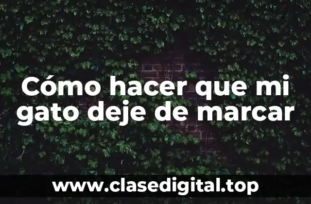 Cómo hacer que mi gato deje de marcar