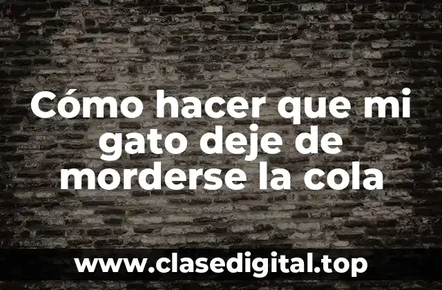 Cómo hacer que mi gato deje de morderse la cola