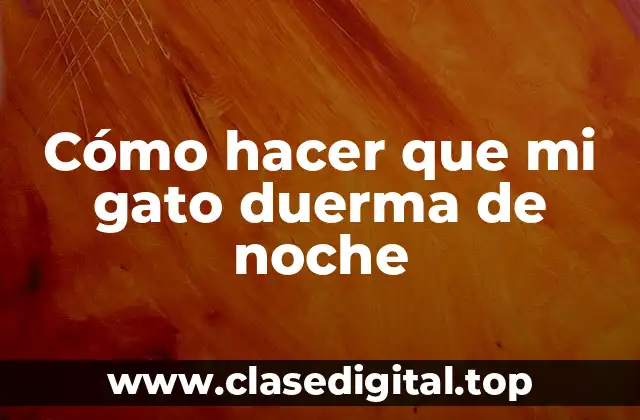 Cómo hacer que mi gato duerma de noche