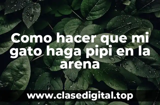 Entrenamiento para que tu gato haga pipi en la arena