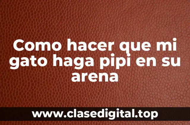 Como hacer que mi gato haga pipi en su arena