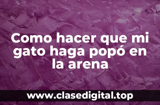 Entrenar a tu gato para hacer popó en la arena es una tarea que requiere paciencia y consistencia