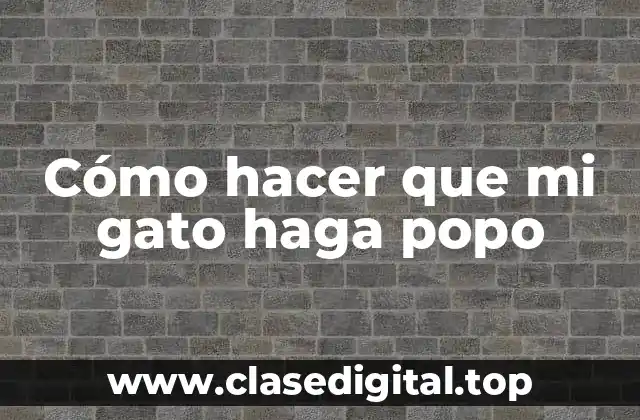 Cómo hacer que mi gato haga popo