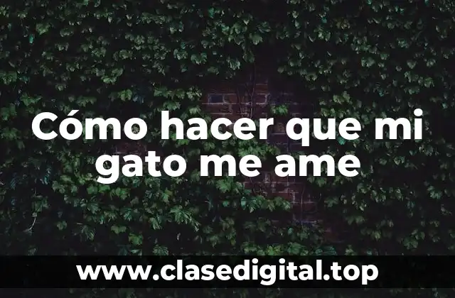 Cómo hacer que mi gato me ame
