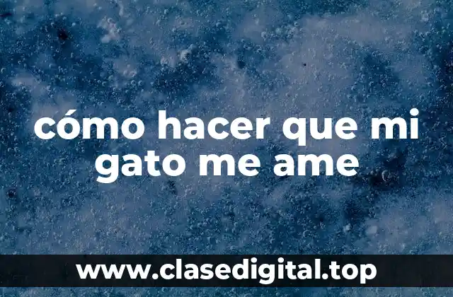 cómo hacer que mi gato me ame