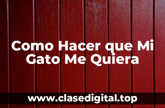 Como Hacer que Mi Gato Me Quiera