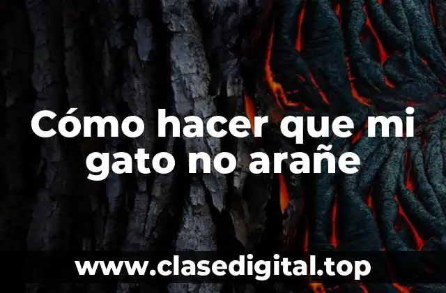Cómo hacer que mi gato no arañe
