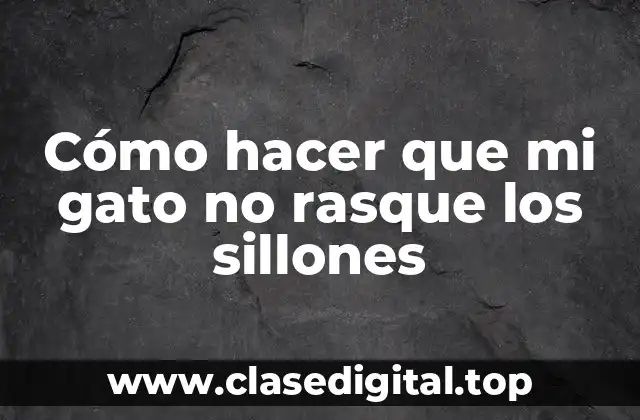 Cómo hacer que mi gato no rasque los sillones