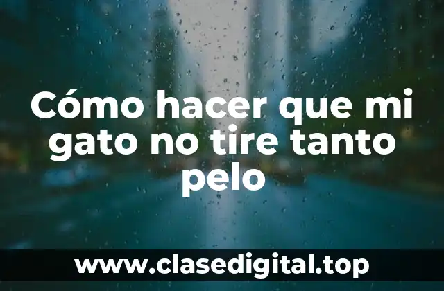 Cómo hacer que mi gato no tire tanto pelo