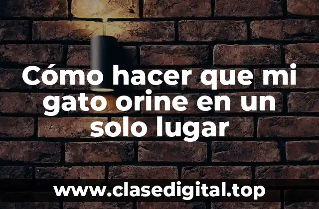 Cómo hacer que mi gato orine en un solo lugar