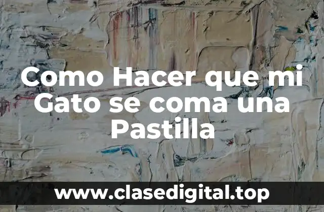 Como Hacer que mi Gato se coma una Pastilla