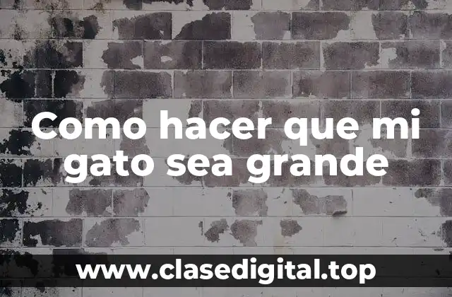 Como hacer que mi gato sea grande