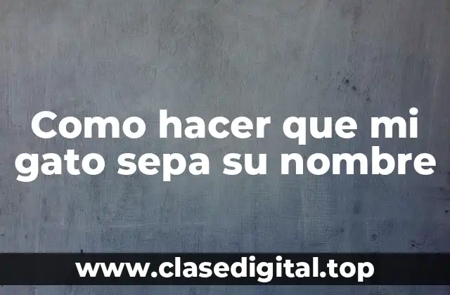 Como hacer que mi gato sepa su nombre