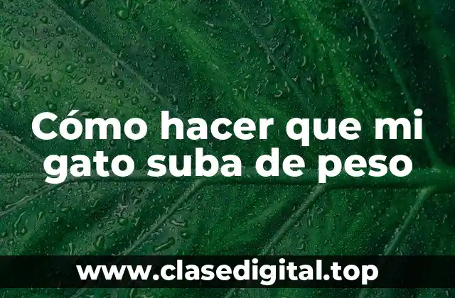 Cómo hacer que mi gato suba de peso