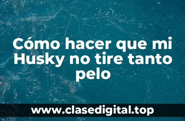Cómo hacer que mi Husky no tire tanto pelo