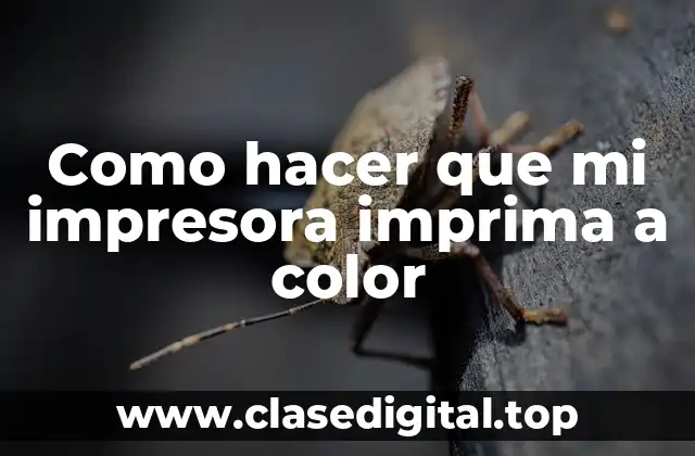 Como hacer que mi impresora imprima a color