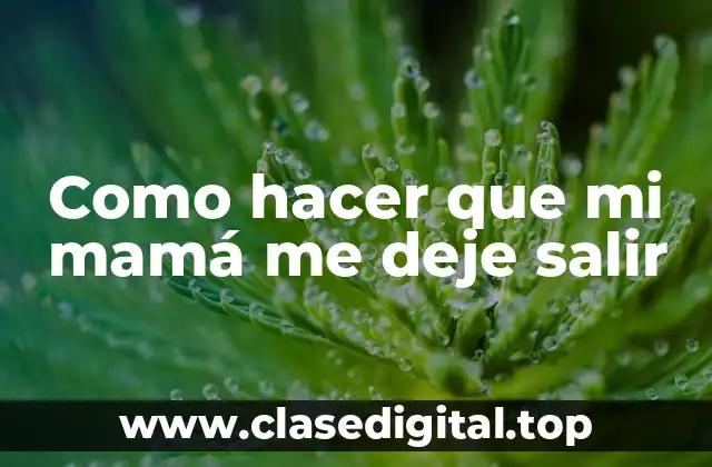 ¿Qué es el permiso de salida y para qué sirve?